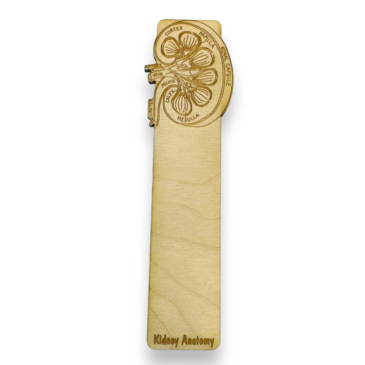 Bookmark - Kidney Anatomy - Birch wood