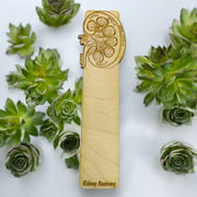 Bookmark - Kidney Anatomy - Birch wood