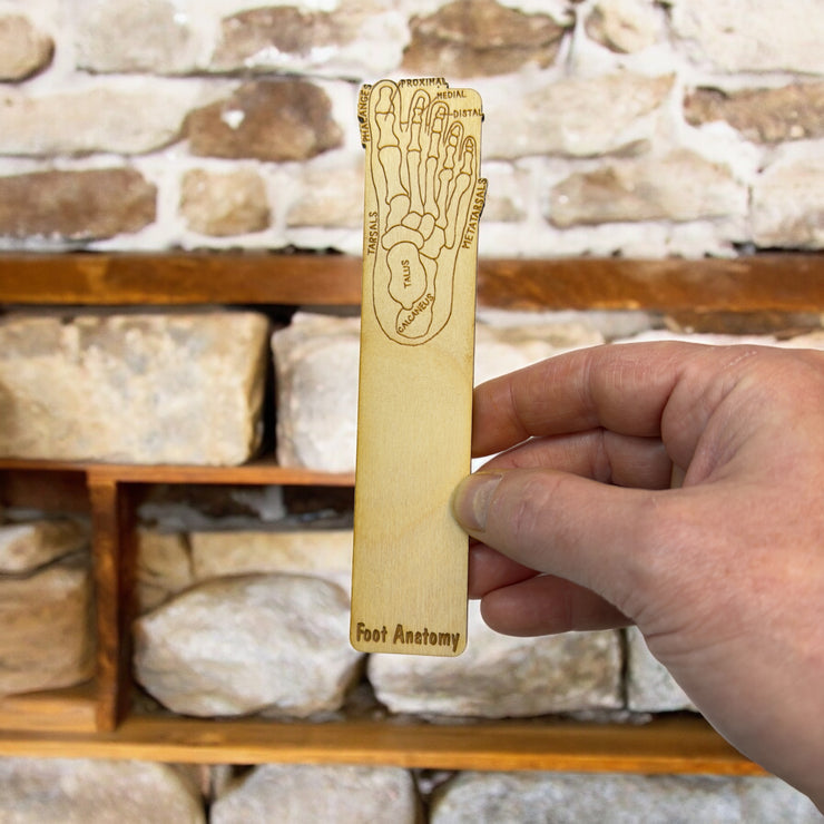 Bookmark - Foot Anotomy - Birch wood