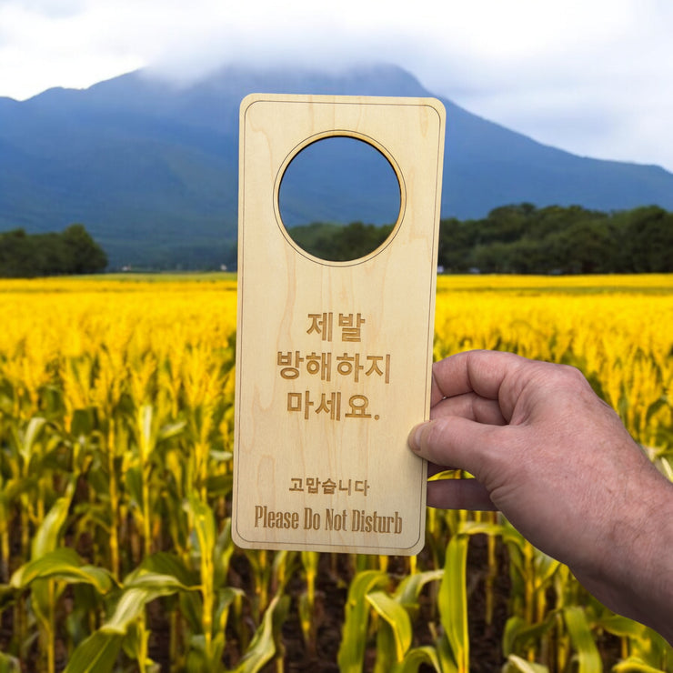 Korean Language - Please Do Not Disturb - Door Hanger - Raw Wood 9x4